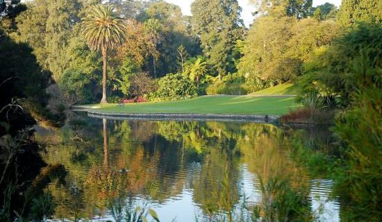 Botanic Garden