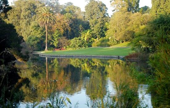 Giardino botanico "Anastasie Fătu"