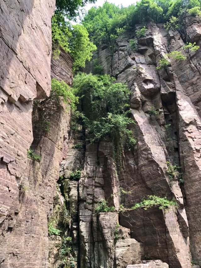 곽량촌