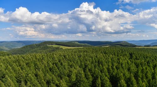 Saihanba National Forest Park