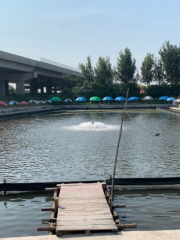 七裏海匯源河河蟹垂釣園