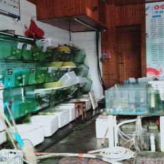 Haibianrenjiahaixiancheng User Photo
