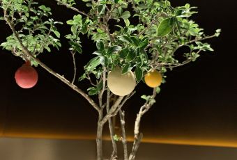 Silver pot User Photo