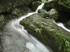 Rear Mt.Qingcheng