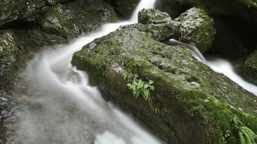 青城後山