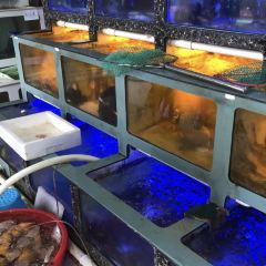 朋来洲海鲜排档·蒸汽火锅(南澳岛青澳湾北回归线店) User Photo
