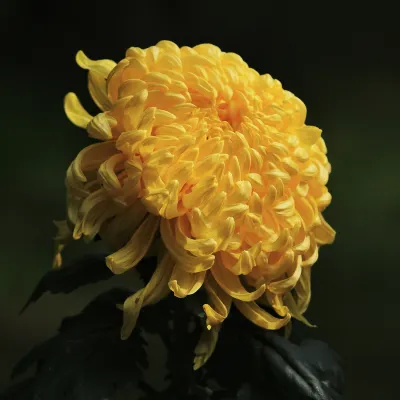 Отели в районе Ж/д вокзал