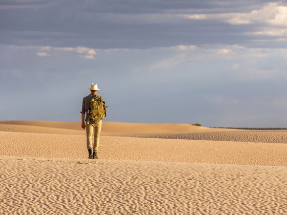 Desert safari camp