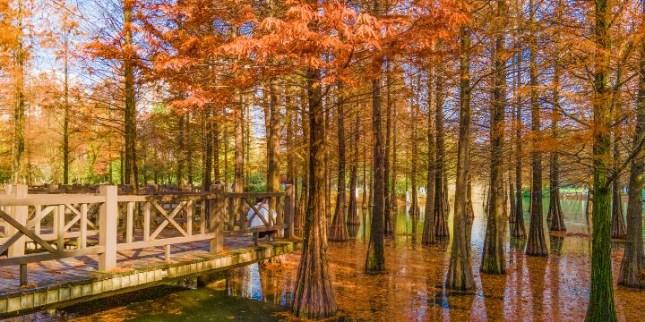 Cuizhu Park