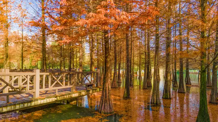 Hotels near Cuizhu Park