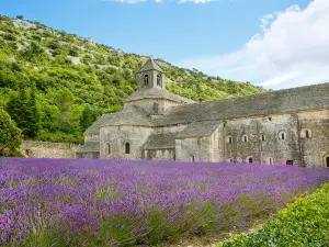 Abbaye Notre-Dame de Senanque