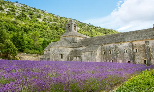 Abbaye Notre-Dame de Senanque