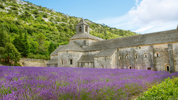 Abbaye Notre-Dame de Senanque