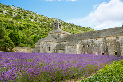 Abbaye Notre-Dame de Sénanque
