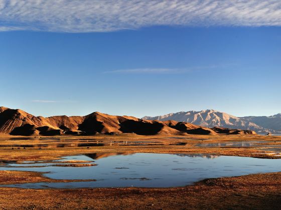 Qiangtang Wetland