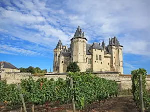 Chateau de Saumur