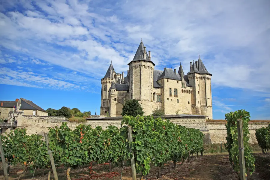 Chateau de Saumur