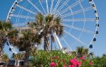 The Wheel of Brisbane.