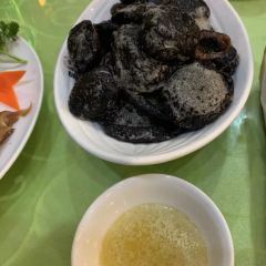 Shengdeli (dongqu) User Photo