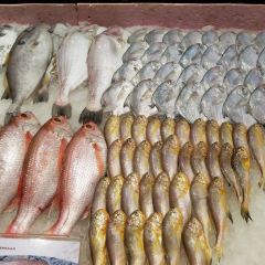 Gaojiazhuang (donggang) User Photo