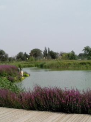 Ecological Botanical Garden Landscape Area