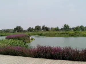 Ecological Botanical Garden Landscape Area