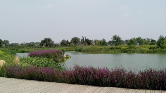 Ecological Botanical Garden Landscape Area