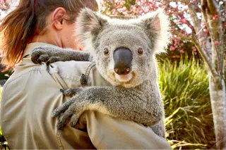 14 Amazing Wildlife Encounters in Sydney and New South Wales