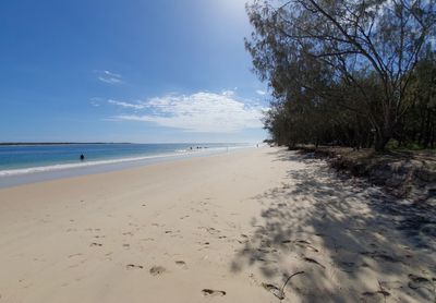 Inskip Point Recreation Area