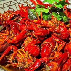 Bar Snook J B張用戶圖片