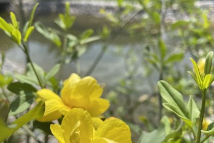 陇南恒悦祥酒店·中餐厅