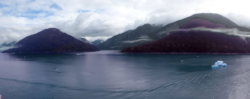 Tracy Arm Fjord