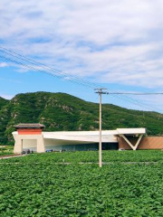 田崗知行村