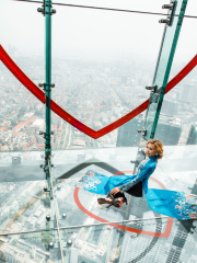 Lotte Observation Deck