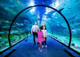 The National Aquarium Abu Dhabi