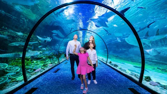 阿布扎比國家水族館