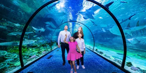 阿布扎比國家水族館