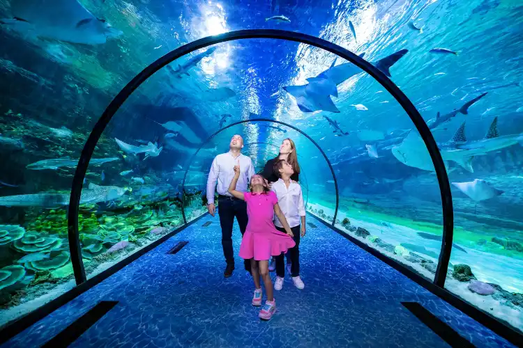 Hotels near The National Aquarium Abu Dhabi