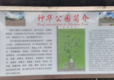 Shenhua Park