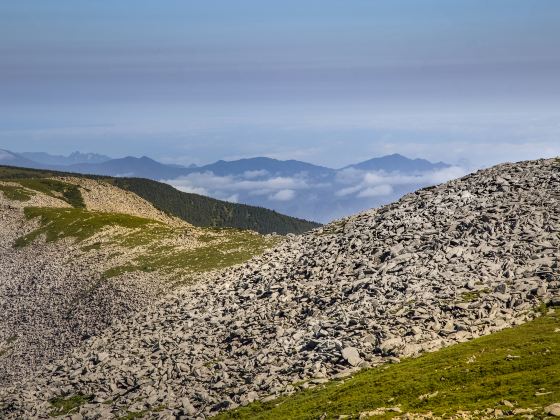 Quaternary Glacial Remains