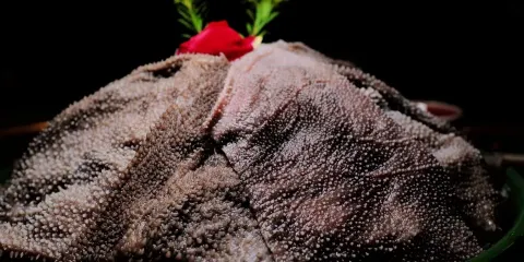 農夫老灶火鍋(洪雅店)