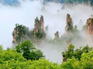 天子山