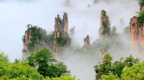 Tianzi Mountain