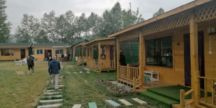 青海省互助縣魯冰花海