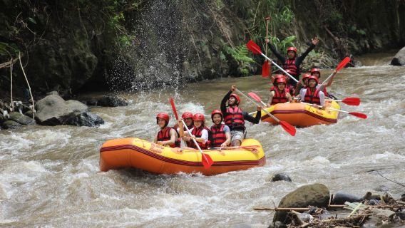 Private Ubud Tour with Ayung River Rafting Experience