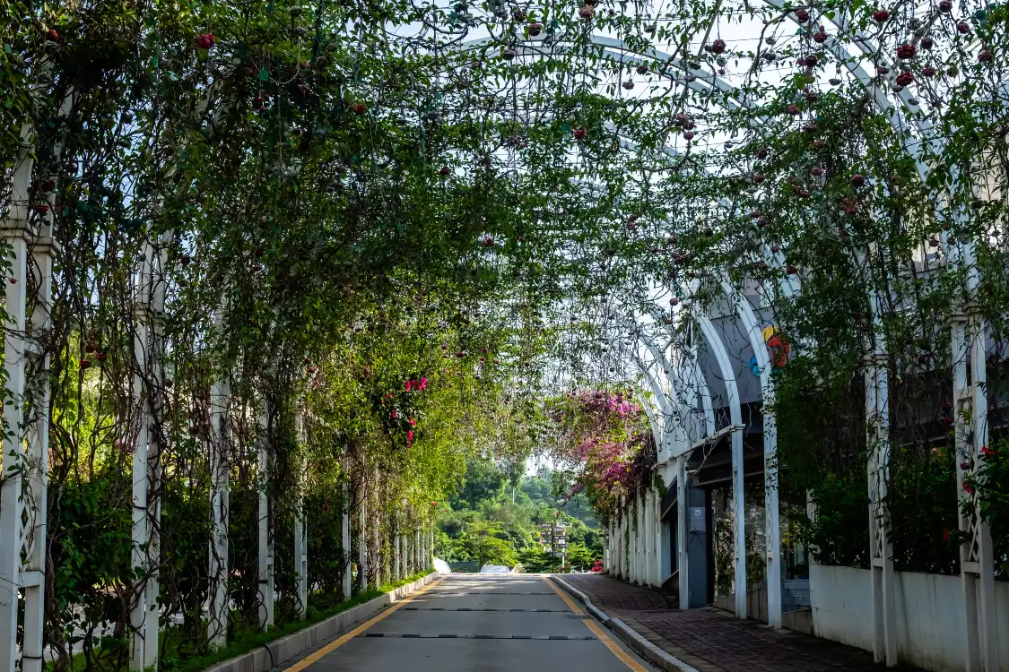Hotels near Lily Flower Town