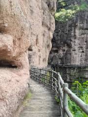 Longhu Mountain Skywalk