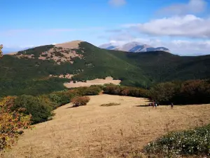 モンテ・クッコ州立公園