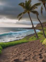 Kekaha Kai State Beach