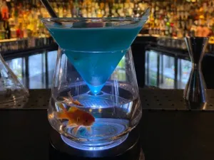 Sugar Lounge Bar